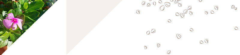 header-chi-siamo